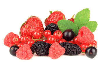 Ripe berries isolated on white