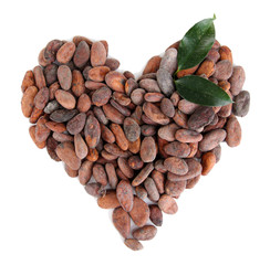 Cocoa beans isolated on white