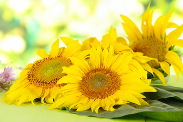 Obraz premium Beautiful sunflowers on wooden table, on bright background