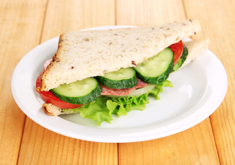 Tasty sandwich with salami sausage and vegetables