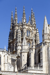 Fototapeta na wymiar Gothic Dome Burgos Cathedral
