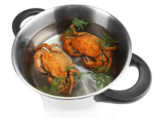 Composition with boiled crabs, pan and vegetables isolated