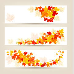 Naklejka na ściany i meble Three autumn banners with colorful leaves Vector