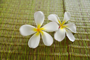 White frangipani and woven wicker mat background