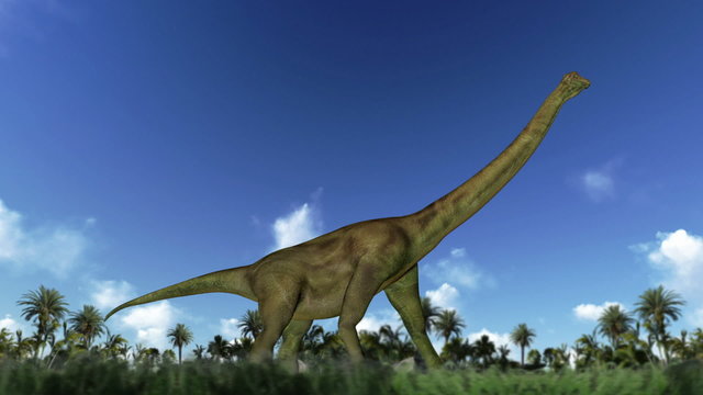 Brachiosaurus cycle walk, loop