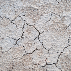 Soil.