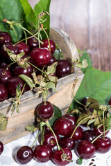 Fresh Cherries