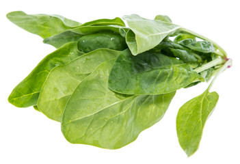 Spinach Leaves isolated on white