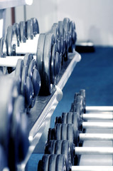 Dumbbells in a rack at the gym.