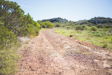 Fototapeta na wymiar Picture of track in arid landscape