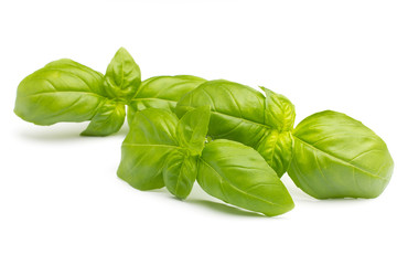 Basil.