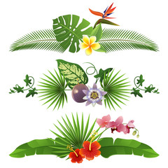 Tropical borders