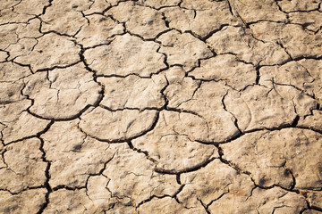 Cracked soil texture