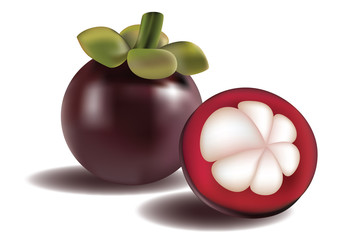Mangosteen