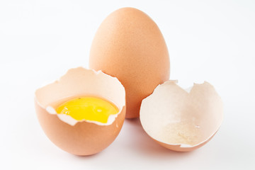 eggs