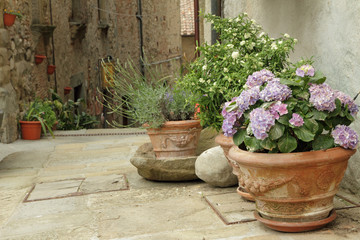 flowering plants in decorated ceramic vases on tuscan street