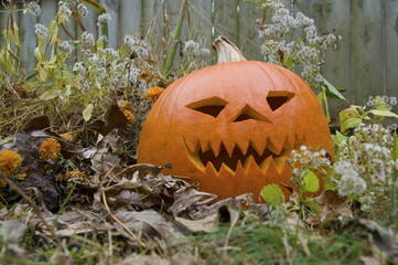 Halloween Jack O Lantern