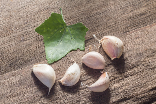 Ivy Gourd And Garlic