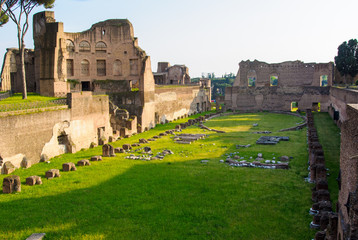 Fototapeta na wymiar Ruiny Palatynu, Rzym, Włochy