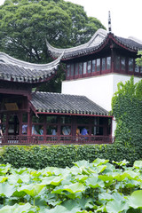 Fototapeta na wymiar Chinese traditional garden - Suzhou - China 