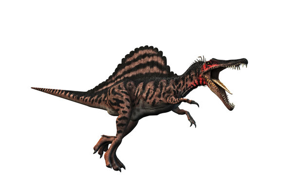 Spinosaurus