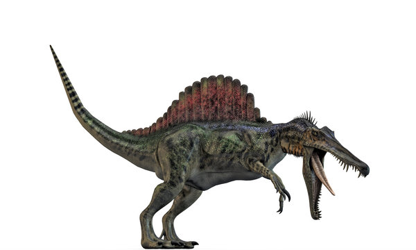 spinosaurus