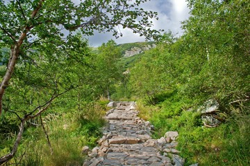 Mountain trail in Karkonosze