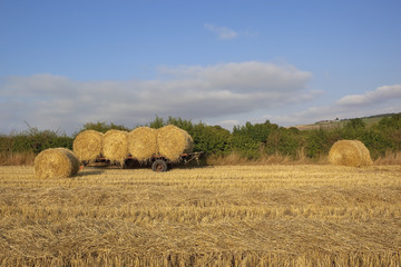 hay bales with trailer
