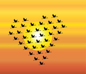 Black Swans flying Birds flying heart Love shape evening sky