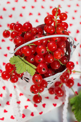 Rote Johannisbeeren