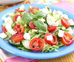 frischer Salat