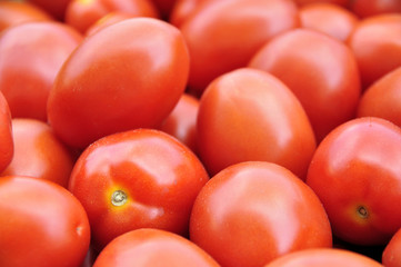 Tomates olivettes