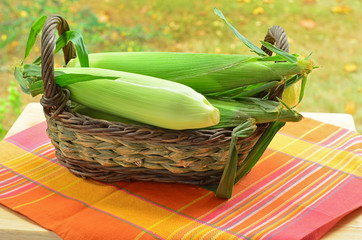 Corn on the cob