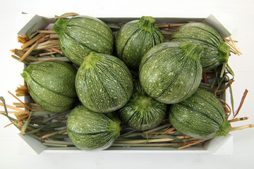 zucchine verdi tonde in cassetta di legno bianco