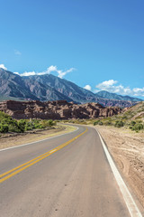 Fototapeta premium Quebrada de las Conchas, Salta, northern Argentina
