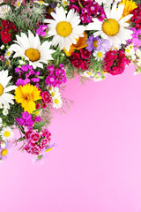 Beautiful bright flowers on pink background