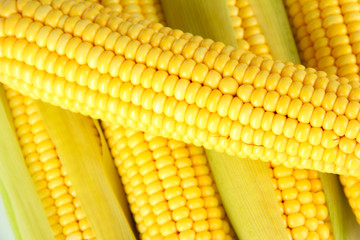 Crude corns close-up
