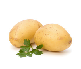 New potato and green parsley