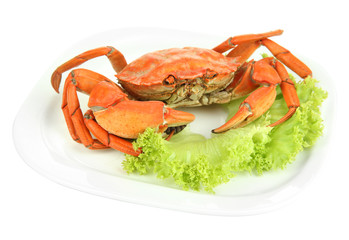 Boiled crab on white plate, isolated on white