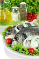 Dorado fish close-up