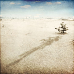 Fototapeta na wymiar Winter landscape with tree and shadow.