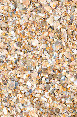 Dented wave of the blow of the wind.