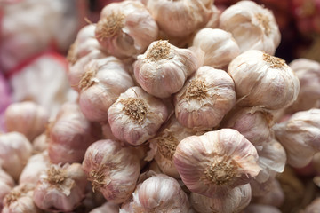 Bunch of garlic in the market