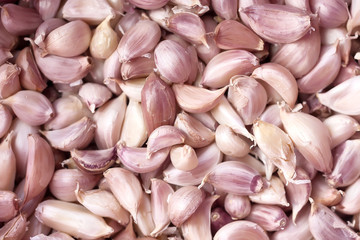 Garlic clove close up