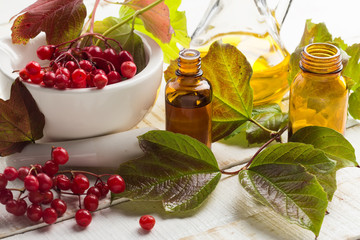 Berries of red viburnum. Homeopathy concept.