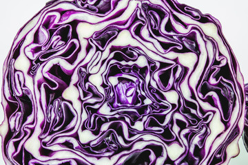 Obraz premium Red cabbage on a white background