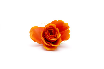 Rote Blume auf weißem Hintergrund