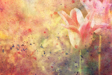 tulips and watercolor strokes © abigail210986