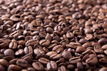 brown background from coffee grains close up