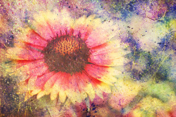flower and watercolor splashes © abigail210986